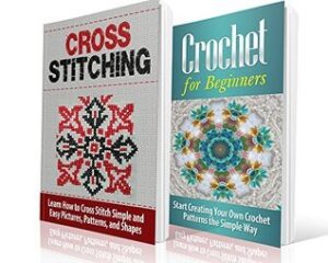 Cross Stitching and Crochet for Beginners: Learn How to Cross Stitch and Crochet the Quick and Simple Way: Cross Stitching: Cross Stitching and Crochet ... Embroidary, Crafts Hobbies and Home)