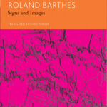 Signs and Images. Writings on Art, Cinema and Photography: Essays and Interviews, Volume 4