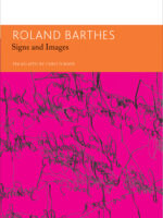 Signs and Images. Writings on Art, Cinema and Photography: Essays and Interviews, Volume 4