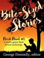 Bite-Sized Stories: A Multi-Genre Flash Fiction Anthology